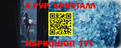 соль ск Кингисепп