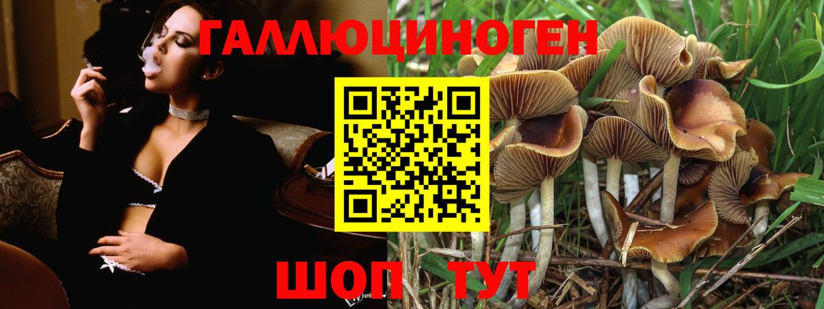 Псилоцибиновые грибы Psilocybine cubensis  Вход с VPN  Кузнецк 